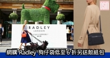 網購Radley狗仔袋低至6折另送散紙包+免費直送香港/澳門